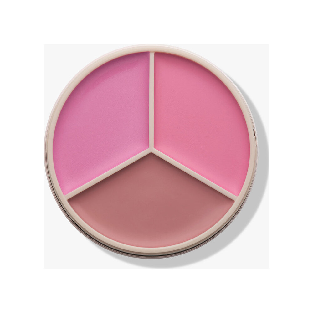 رژگونه Anastasia Beverly Hills Magic Touch Blush Trio